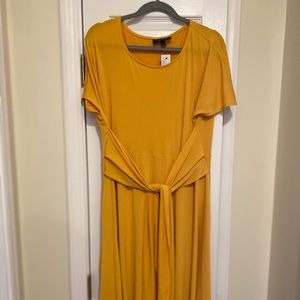 Lane Bryant MIDI Dress with tie